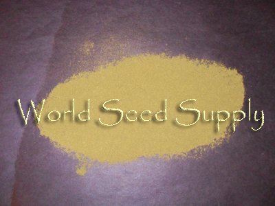 1/4 Lb ORGANIC STEVIA REBAUDIANA herb powder
