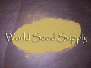 1/4 Lb ORGANIC STEVIA REBAUDIANA herb powder