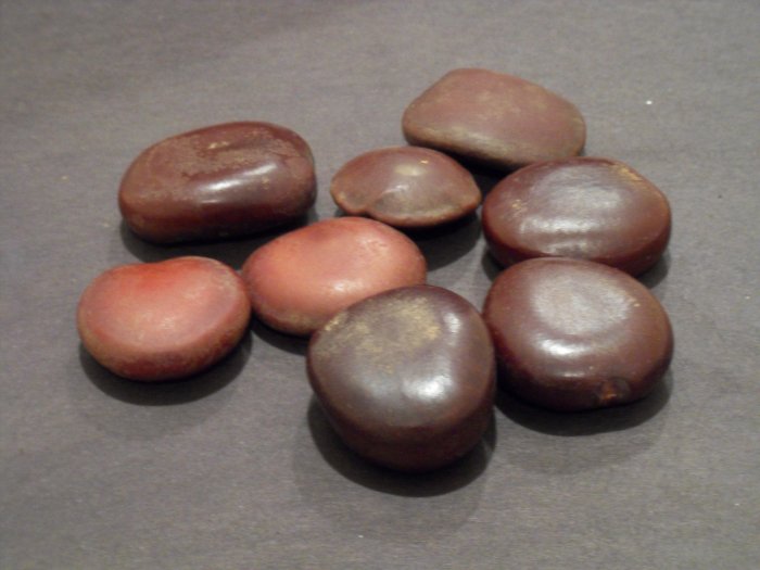 Entada Rheedi Rheedii AFRICAN DREAM HERB seeds -UNIQUE