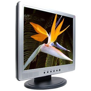 19" Amptron TFT LCD DVI/VGA Monitor w/Speakers (Sil & Blk) - NEW