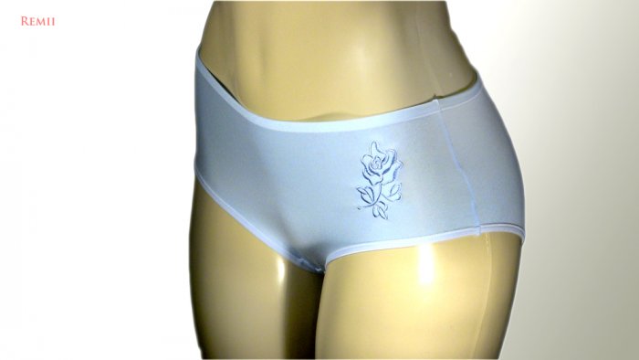 Menstrual - Period Panties by Remii