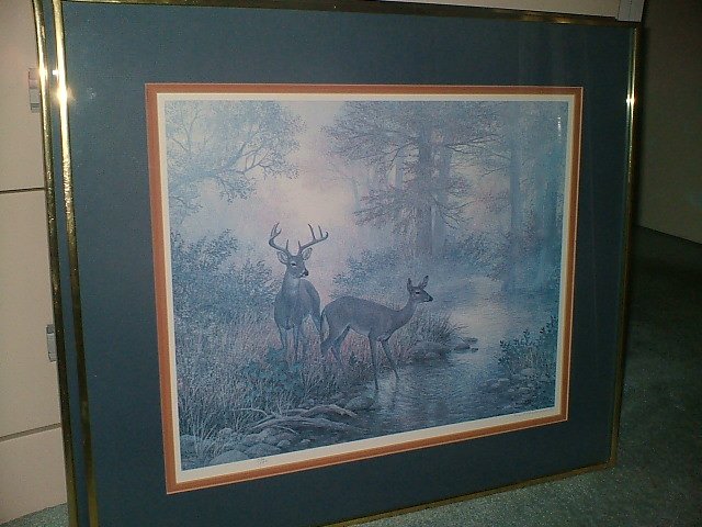 White Tail Lithograph (Grant Mac Donald) Limited Edition