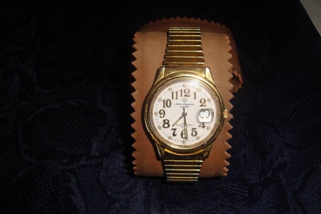 JULES JURGENSON MEN'S GOLD COLOR QUARTZ ANTALOG WATCH W/DATE WINDOW
