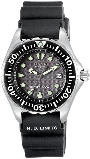 Citizen EP6000-07H Eco-Drive Profesional Diver 300M Strap Ladies