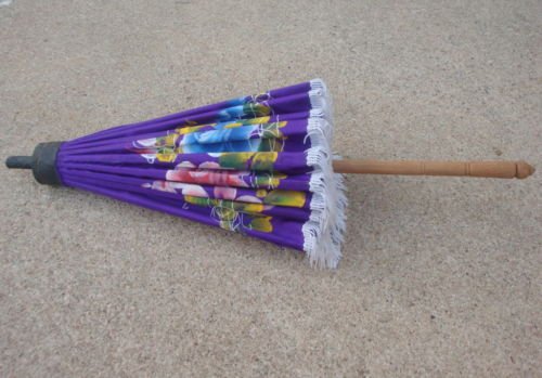 Vintage Purple Hand Painted Umbrella