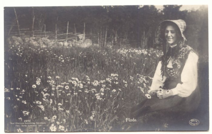 PRETTY LADY, FIELD OF DAISIES, VINTAGE Unused PHOTO POSTCARD 4