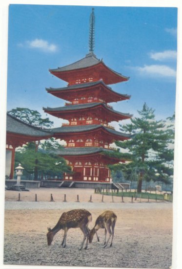 TOWER OF KOFUKUJI TEMPLE, VINTAGE CHROME JAPAN Vintage POSTCARD 53
