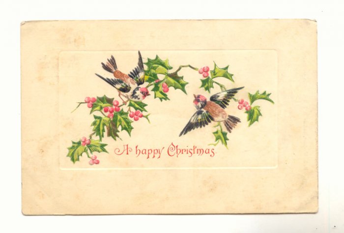 TWO BIRDS ON HOLLY BRANCH VINTAGE 1907 POSTCARD 68