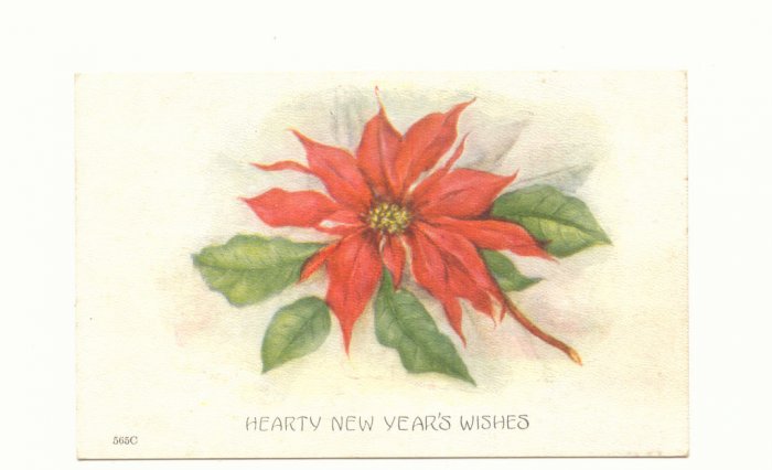 HEARTY NEW YEAR, POINTSETTIA, UNUSED VINTAGE POSTCARD 91