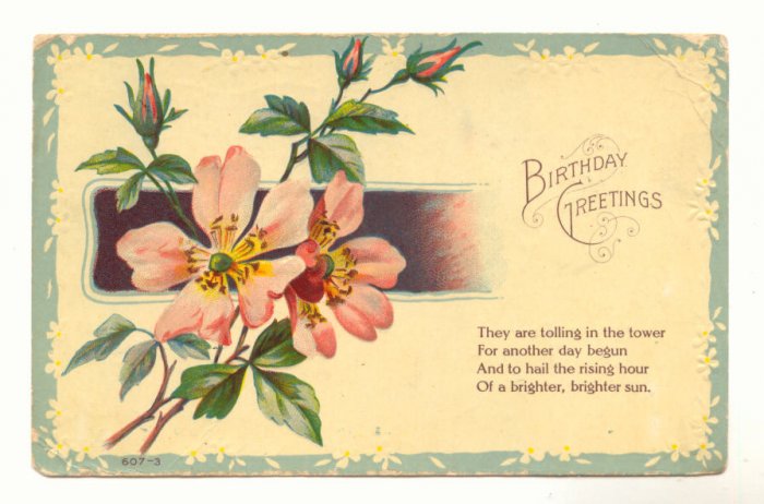PINK WILD ROSES BIRTHDAY VERSE 1908 VINTAGE POSTCARD 149