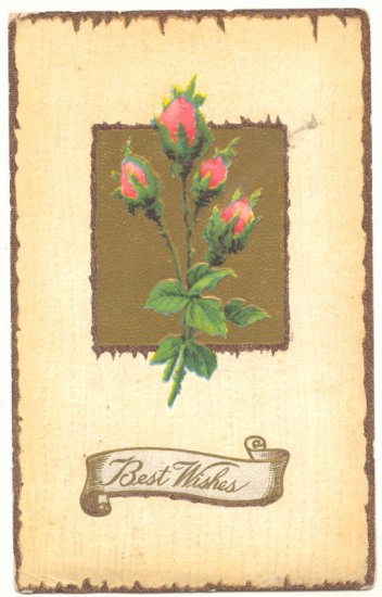 BEST WISHES, SWEET MOSS ROSES, VINTAGE 1911 POSTCARD #160