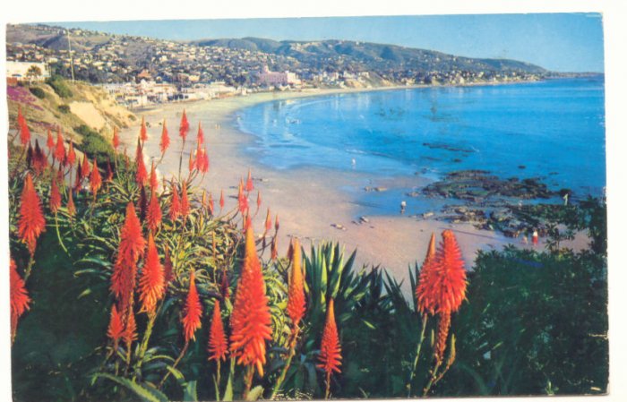LAGUNA BEACH, CALIFORNIA VINTAGE CHROME POSTCARD #173