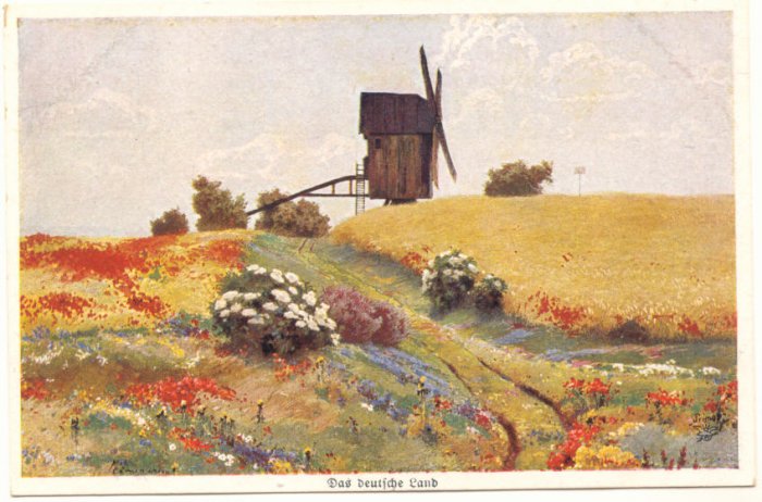 WINDMILL, FLOWER FIELD SCENE, UNUSED VINTAGE POSTCARD #201
