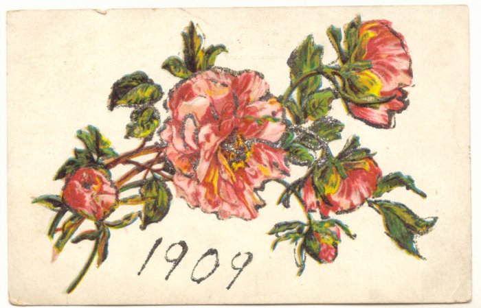 1909 GLITTERED ROSES NEW YEAR VINTAGE POSTCARD #211