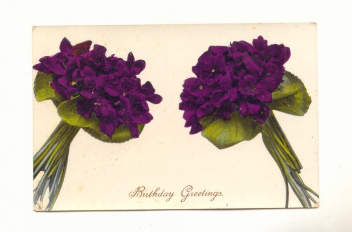 BIRTHDAY GREETINGS, VINTAGE 1914 POSTCARD , VIOLETS #213