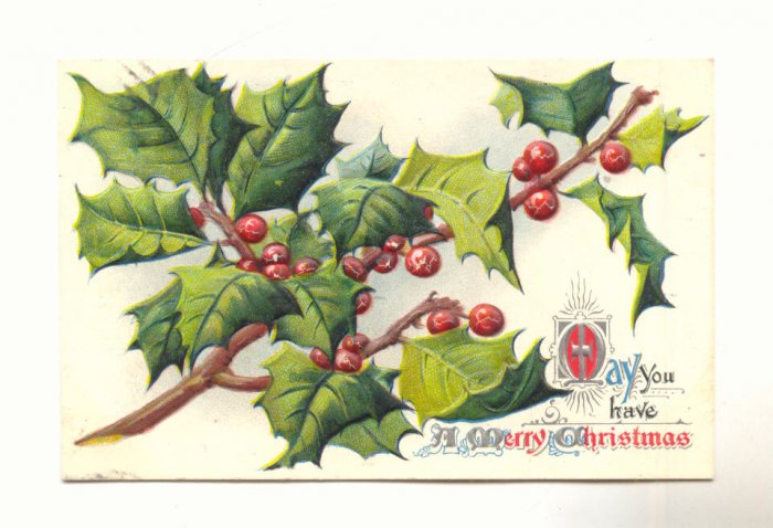 MAY YOU HAVE A MERRY CHRISTMAS, LARGE HOLLY BRANCH POSTCARD #264