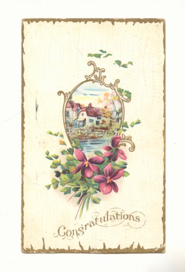 CONGRATULATIONS, WATERFRONT ESTATE, VIOLETS 1911 POSTCARD #282