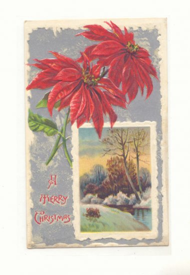 1911 POINSETTIA SILVER WINTER SCENE CHRISTMAS POSTCARD #343