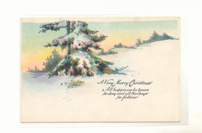 WINTER PINE TREE SCENE CHRISTMAS VINTAGE POSTCARD #344