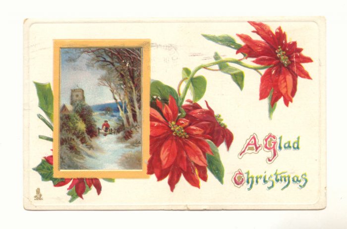 TUCK'S GLAD CHRISTMAS POINTSETTIA WINTER SCENE VINTAGE POSTCARD 1909 #345
