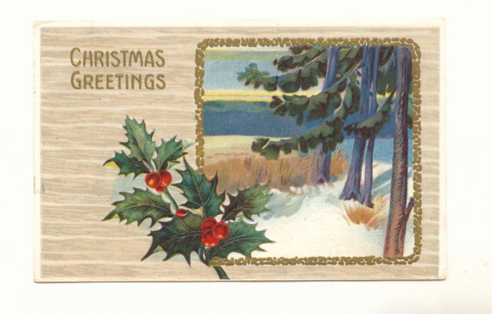 CHRISTMAS GREETING HOLLY MARSH PINE WATER SCENE 1911 VINTAGE POSTCARD #346