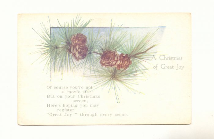 BRANCH OF PINE CONES CHRISTMAS JOY UNUSED VINTAGE POSTCARD #356
