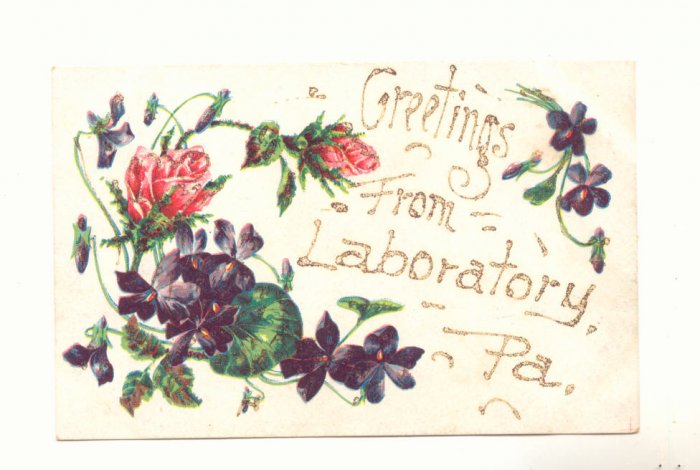 GREETINGS FROM LABORATORY, PENNSYLVANIA POSTCARD ROSES #374