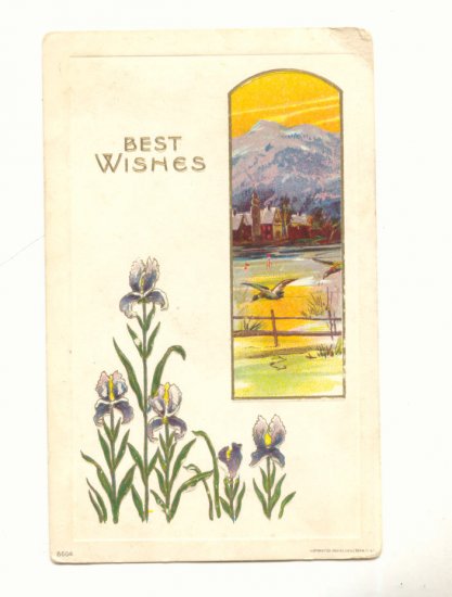 BEST WISHES, IRIS, DUCKS FLYING, MOUNTAIN VIEW POSTCARD #401