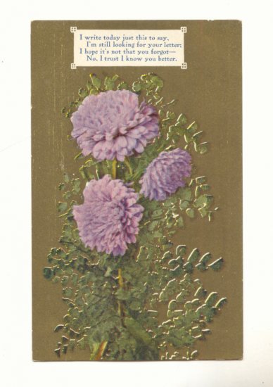 I WRITE TODAY, LOOKING FOR YOUR LETTER, CARNATIONS Postcard #404