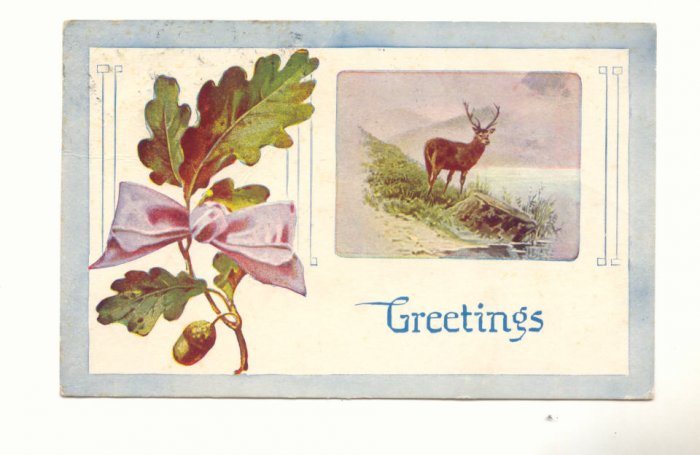 GREETINGS, STAG AT WATER, ACORN ON OAK BRANCH POSTCARD #415