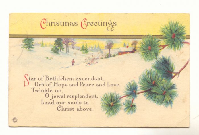 CHRISTMAS GREETING WINTER SCENE FIR BOUGHS Postcard #445
