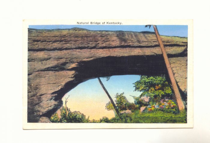 NATURAL BRIDGE OF KENTUCKY, VINTAGE LINEN POSTCARD #451