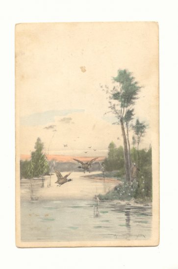 MALLARDS FLYING OVER MARSH VINTAGE 1908 POSTCARD #452