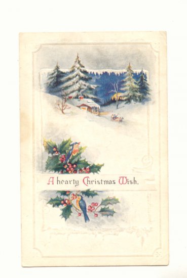 CHRISTMAS WISH, WINTER SCENE BLUE BIRD SLEIGH Postcard #455