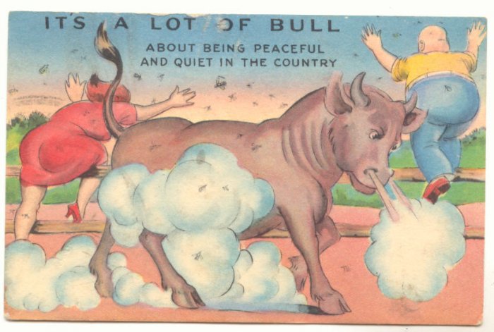 IT'S A LOT OF BULL, COMIC POSTCARD BULL CHASING PEOPLE Vintage Comic Postcard #487