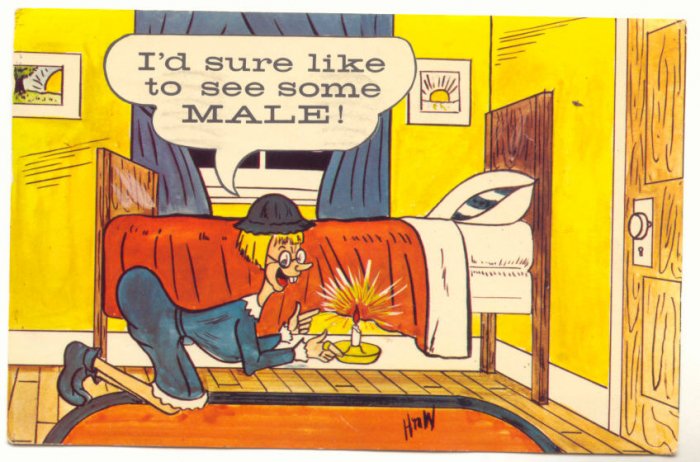 I'D SURE LIKE TO SEE SOME MALE! UGLY LADY, COMIC Postcard #488