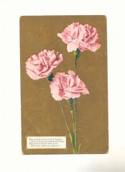 THE WORLD IS FILLED WITH FLOWERS CARNATIONS Vintage Postcard #502