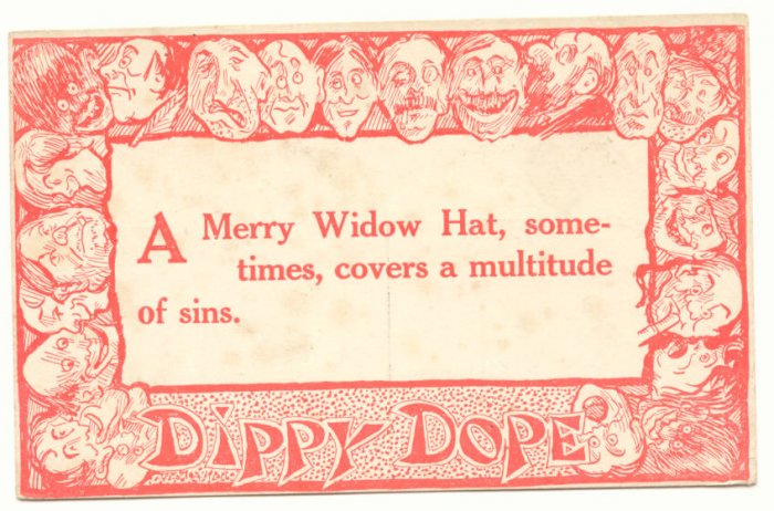 DIPPY DOPE, A Merry Wido Hat, Vintage Unused Postcard #510