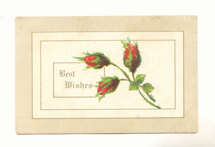 BEST WISHES, MOSS ROSE BUDS, VINTAGE 1912 Vintage Postcard #522