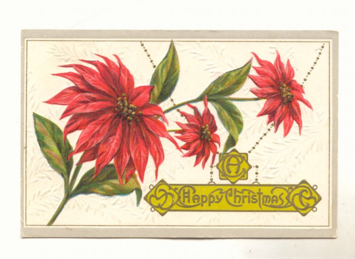 A Happy Christmas, Large Poinsettia Vintage 1912 Postcard # 533