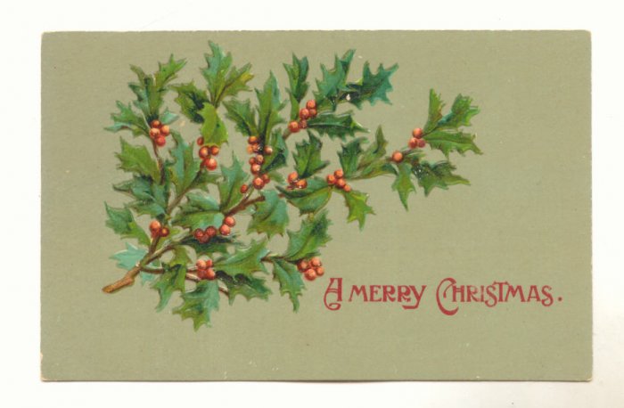 A MERRY CHRISTMAS, PRETTY HOLLY, VINTAGE UNUSED POSTCARD #534