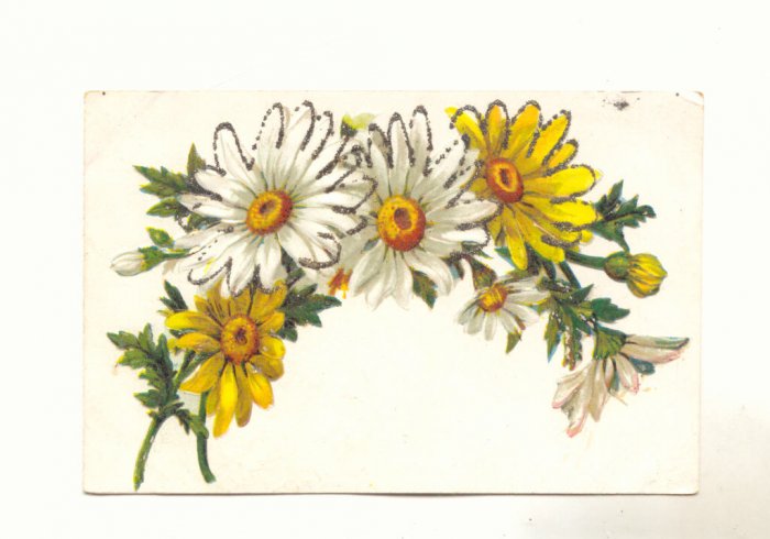 Large Daisies outlined in Glitter, Vintage Postcard, #536