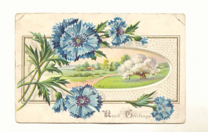 Kind Greetings, Blue Flowers, Country Scene, Vintage 1911 Postcard #544