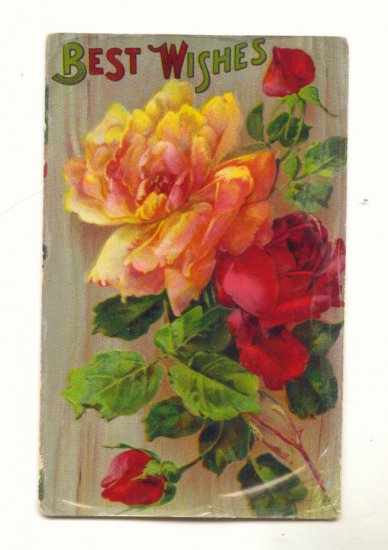BEST WISHE, LARGE ROSES, VINTAGE GEL POSTCARD #546