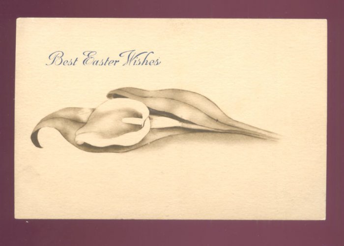 BEST EASTER WISHES LARGE CALLA LILLY VINTAGE POSTCARD #558