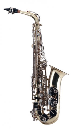 Maxam Alto Sax
