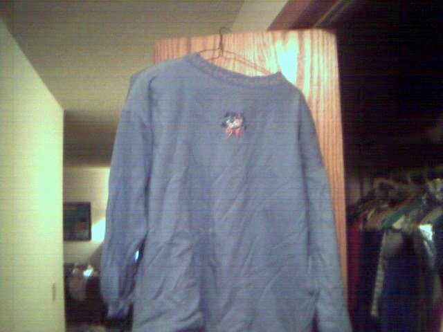 Good Shirt For A Women