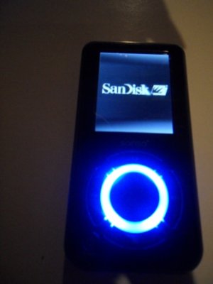 sandisk 4gb e260r manual