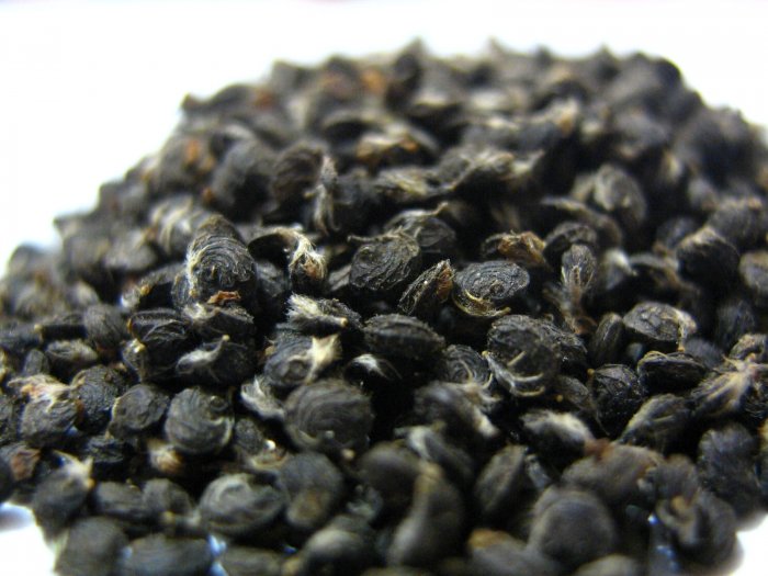 Lupulina (Medicago lupulina)