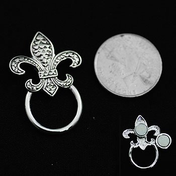 Texture French Fleur De Lis Picture Badge ID Eye Glass Holder Brooch Pin